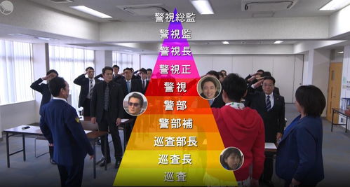 警視廳零系 生活安全科萬能咨詢室 第五季 數(shù)據(jù)處理服務