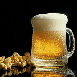 琥珀石固體啤酒產品 琥珀石固體啤酒產品圖片 琥珀石固體啤酒怎么樣 最新琥珀石固體啤酒產品展示